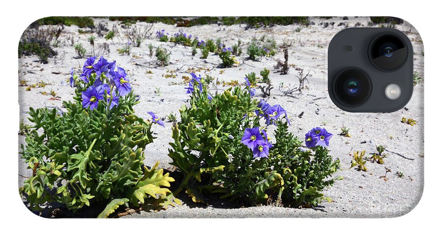 Chile iPhone 14 Case featuring the photograph Blue flowers and white sand dunes Chile by James Brunker