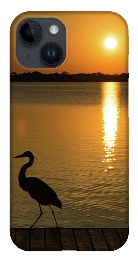 Reflection iPhone Case featuring the photograph Blue Heron on the Dock at Sunset by Beachtown Views