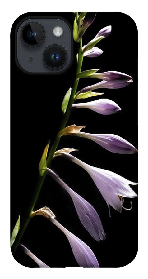 Blue Plantain Lily iPhone 14 Case featuring the photograph Blue Plantain Lily by Kevin Suttlehan