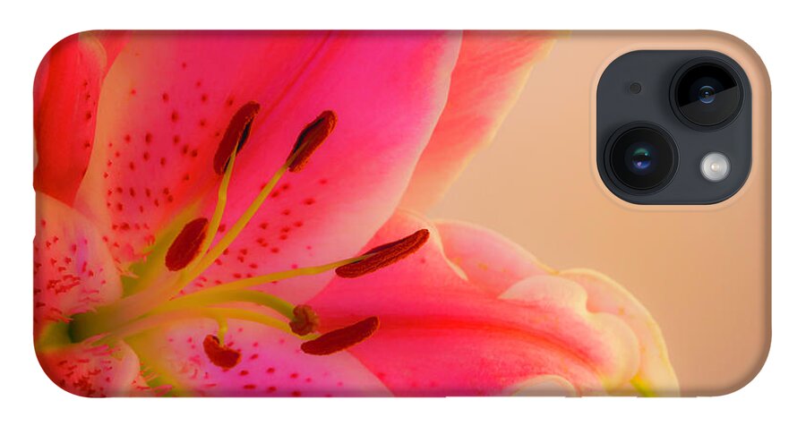 Oriental Lily iPhone 14 Case featuring the photograph Bold and Pink Oriental Lilies 2 by Lindsay Thomson