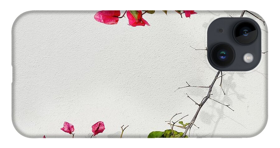  iPhone 14 Case featuring the photograph Bougainvillea by Julie Gebhardt
