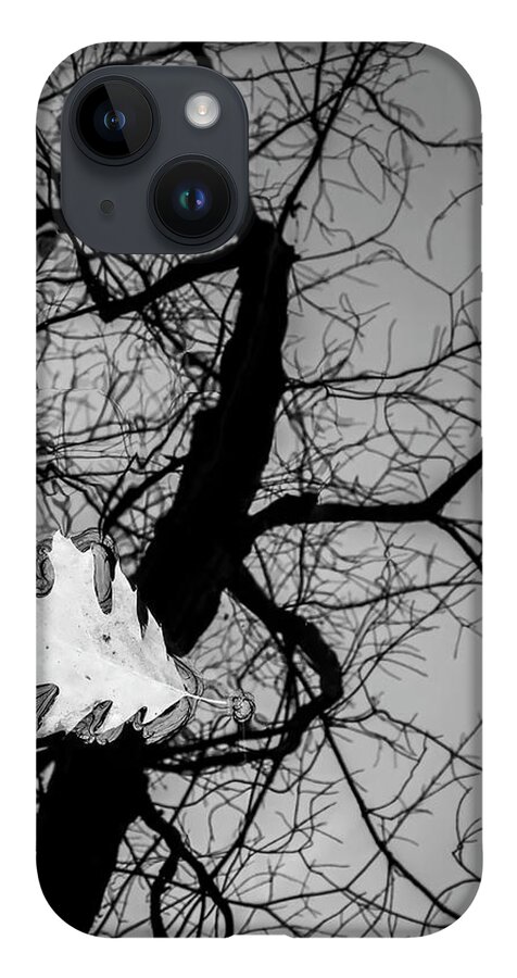 Black And White iPhone 14 Case featuring the photograph Boyden XXI BW by David Gordon