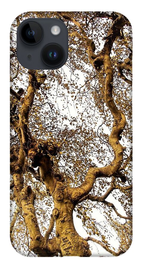 Tree Branch Sky Leaves iPhone Case featuring the photograph Branch Sky by John Linnemeyer