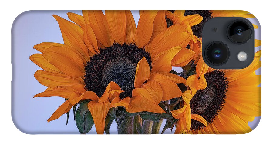 Petals iPhone 14 Case featuring the photograph Bright and Beautiful Sunflowers 6 by Lindsay Thomson