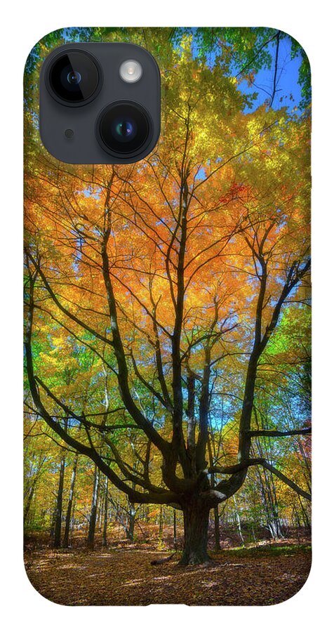 Michigan iPhone 14 Case featuring the photograph Brilliant Autumn Colors by Owen Weber