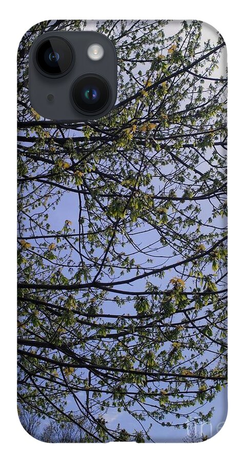 Sunday Silence Aprill 28 2019 iPhone 14 Case featuring the photograph Budding Branches and Pastel Sky by Frank J Casella