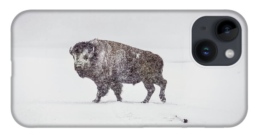 Buffalo iPhone 14 Case featuring the photograph Buffalo in Yellowstone Winter by Craig J Satterlee