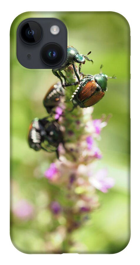 Japanese iPhone 14 Case featuring the painting Bugs - Japanese beetles by Sv Bell