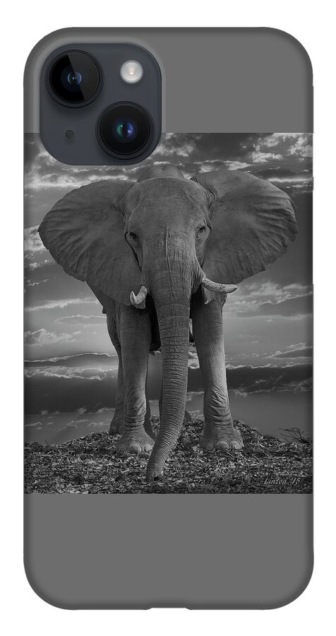 Elephant iPhone 14 Case featuring the photograph Bull Elephant by Larry Linton