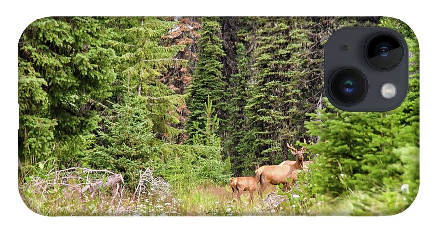 Elk iPhone 14 Case featuring the photograph Bull elk in velvet by Debra Baldwin