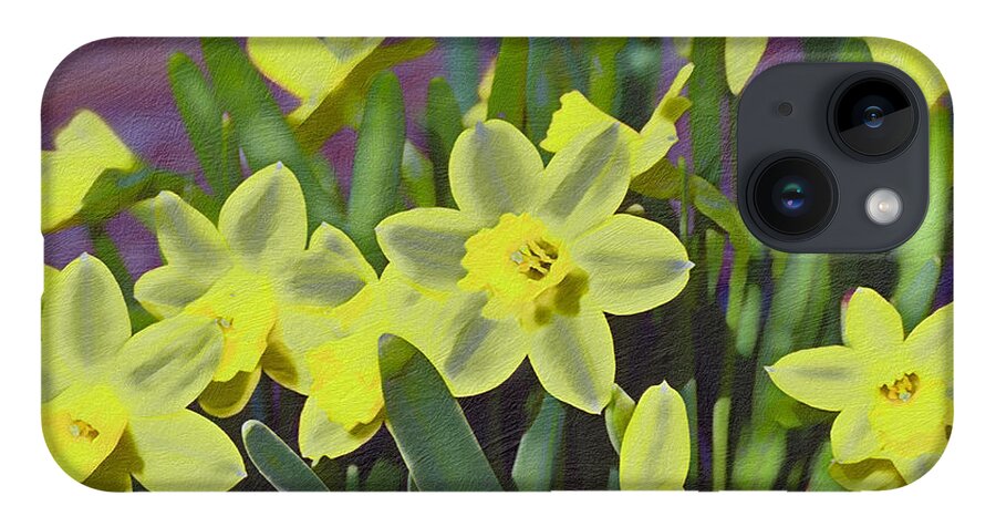 Spring iPhone 14 Case featuring the photograph Bunch of Daffodils by Bentley Davis