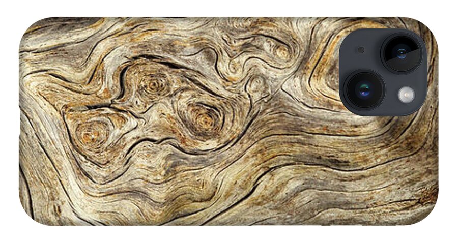 Stump iPhone 14 Case featuring the photograph Burlwood Stump by James Eddy