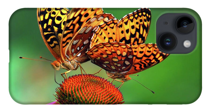 Butterfly iPhone 14 Case featuring the photograph Butterfly Twins by Christina Rollo