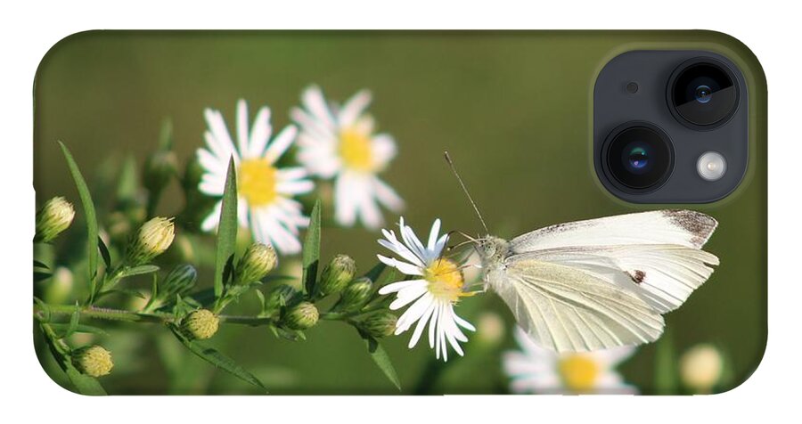 Butterfly iPhone 14 Case featuring the photograph Cabbage Butterfly on Wildflowers by Christopher Reed