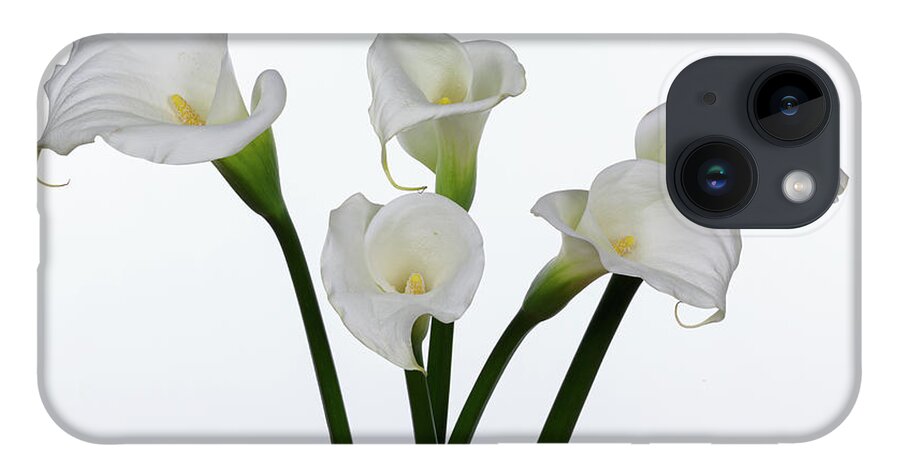 Calla Lillies iPhone 14 Case featuring the photograph Calla Lillies x 5 by Steve Templeton