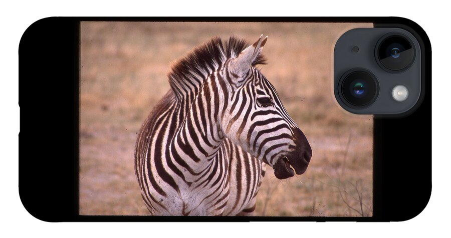 Africa iPhone 14 Case featuring the photograph Camera Shy Zebra by Russ Considine