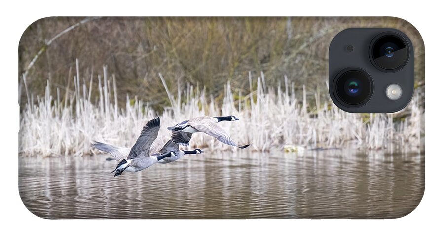 Geese iPhone 14 Case featuring the photograph Canada Geese by Jerry Cahill