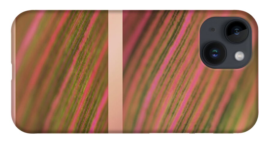 Abstract iPhone 14 Case featuring the photograph Canna by Karen Rispin