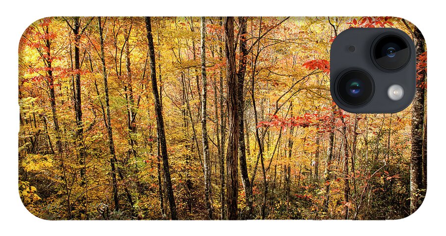 Beech Mountain iPhone Case featuring the photograph Carolina Color by Phil Marty