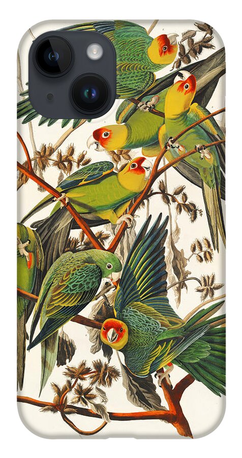 Carolina Parrots iPhone 14 Case featuring the mixed media Carolina Parrots. John James Audubon by World Art Collective