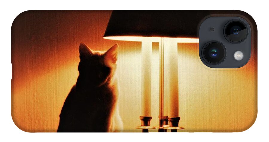 Cat Lamp Desk Light Shadow iPhone Case featuring the photograph Cat Lamp by John Linnemeyer