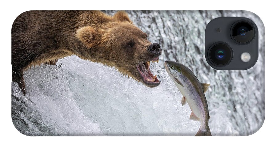 Grizzly iPhone 14 Case featuring the photograph Catch of the Day by Randy Robbins