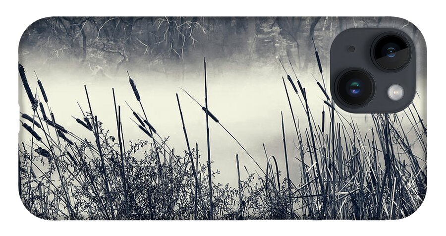 Cattails iPhone 14 Case featuring the photograph Cattails and Fog by Cate Franklyn