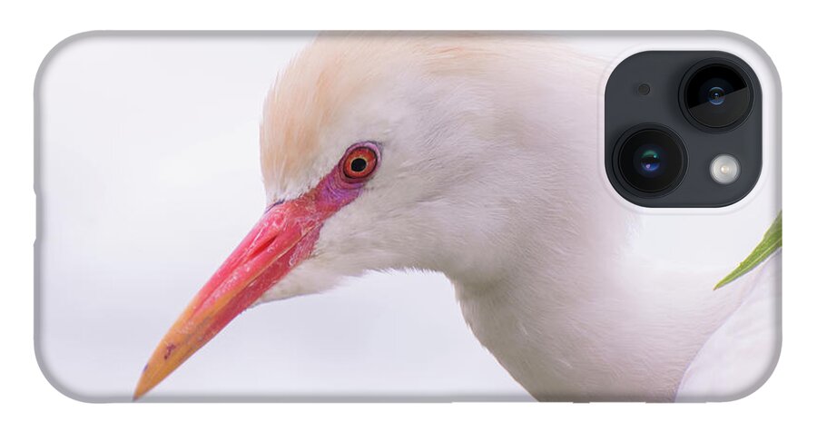 Cattle iPhone Case featuring the photograph Cattle Egret by Carolyn Hutchins