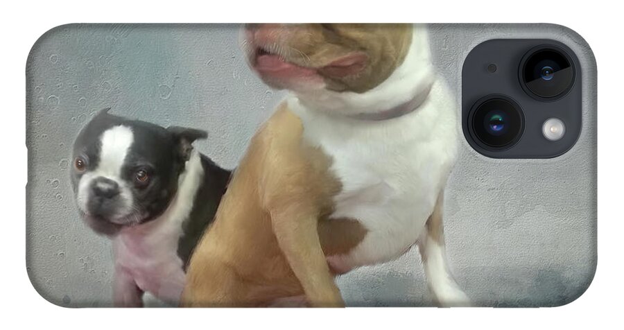 Boston Terrier's iPhone Case featuring the mixed media Cheech and Chong by Colleen Taylor