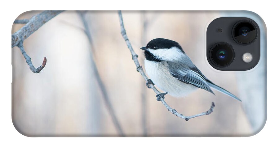 Chickadee iPhone 14 Case featuring the photograph Chickadee by Karen Rispin