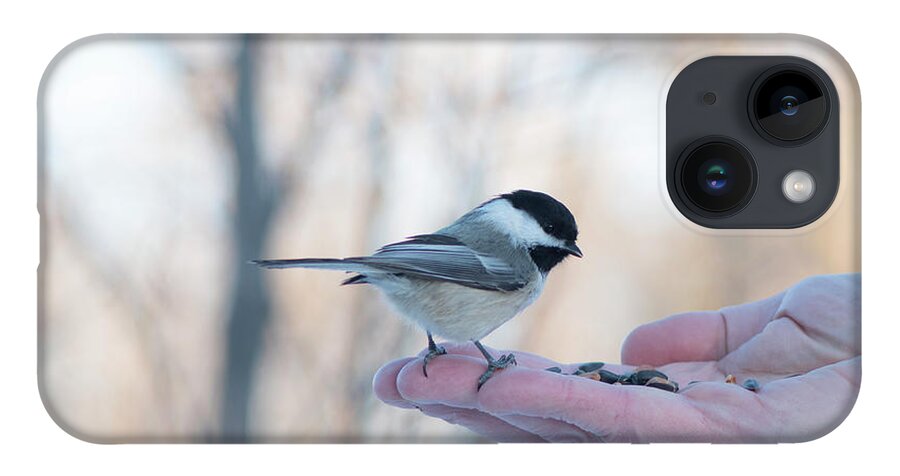 Chickadee iPhone 14 Case featuring the photograph Chickadee On Hand by Karen Rispin