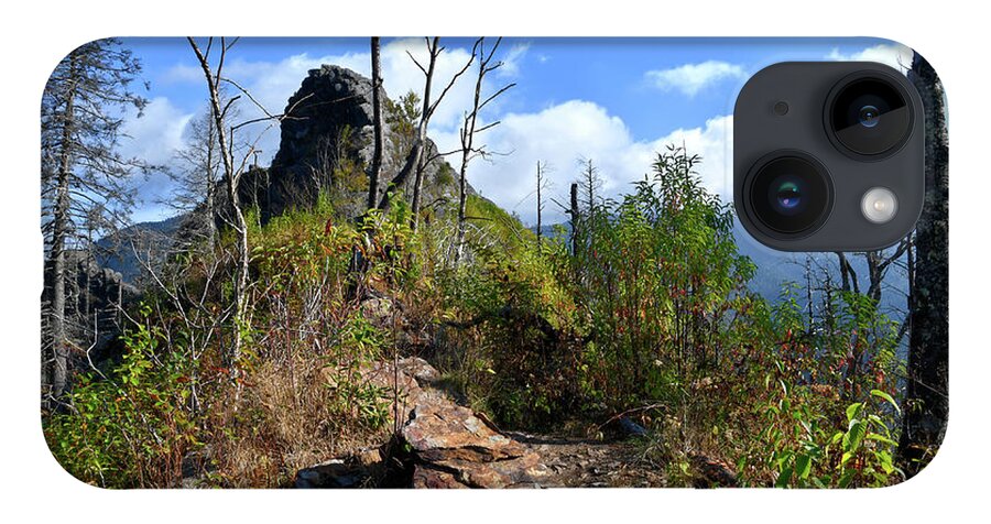 Chimney Tops iPhone Case featuring the photograph Chimney Tops 19 by Phil Perkins