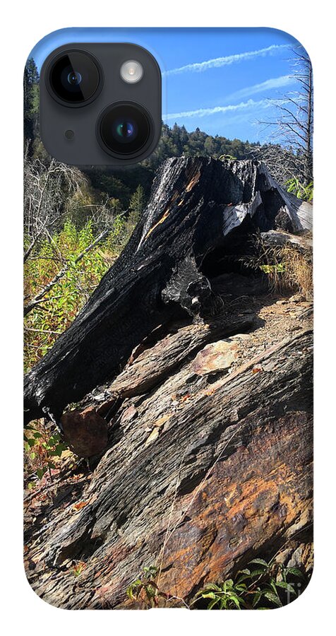 Chimney Tops iPhone 14 Case featuring the photograph Chimney Tops 20 by Phil Perkins