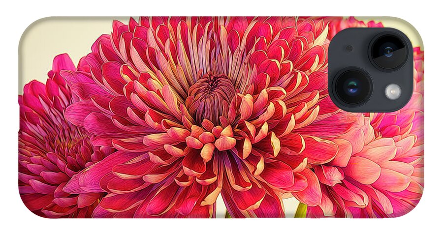 Chrysanthemum iPhone 14 Case featuring the photograph Chrysanthemums Bold and Beautiful 8 by Lindsay Thomson