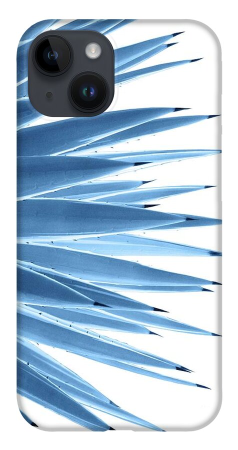 Color iPhone 14 Case featuring the mixed media Classic Blue Agave Dream #1 #tropical #decor #art by Anitas and Bellas Art