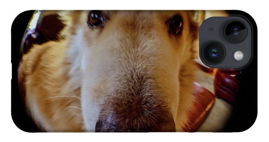  iPhone 14 Case featuring the photograph Close In Doggy by Brad Nellis