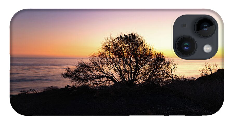 California iPhone 14 Case featuring the photograph Coastal Tree After Sunset by Matthew DeGrushe