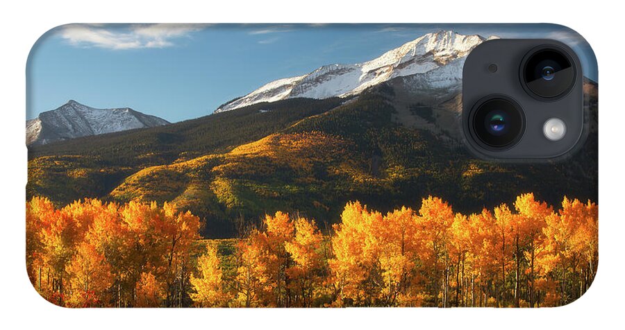 Aspen iPhone 14 Case featuring the photograph Colorado Gold by Darren White