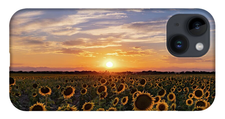 Sunset iPhone Case featuring the photograph Colorado Sunflower Field at Sunset by Phillip Rubino