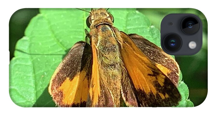 Skipper iPhone 14 Case featuring the photograph Colorful Skipper by Catherine Wilson