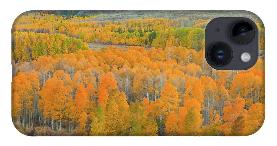 Trees iPhone 14 Case featuring the photograph Colors of the Season by Jonathan Nguyen