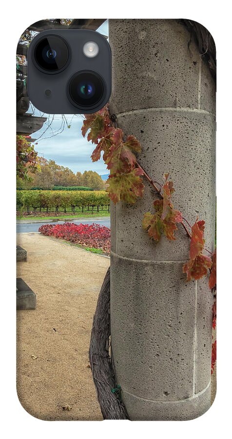 Autumn iPhone 14 Case featuring the photograph Columns With Grapevine by Jonathan Nguyen