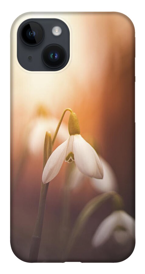 Europe iPhone 14 Case featuring the photograph Common snowdrop at sunset. Magic flower sprouting from the soil by Vaclav Sonnek