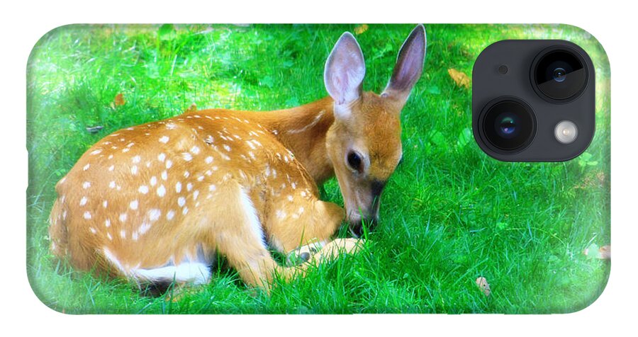 Nature Wildlife Fawn iPhone 14 Case featuring the photograph Cozy Fawn by Mary Walchuck