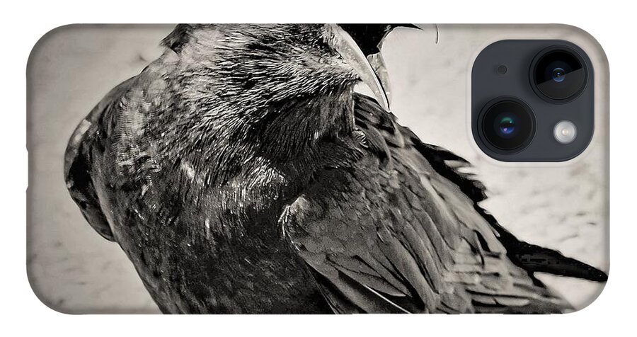 Crow Bird Black White iPhone Case featuring the photograph Crow by John Linnemeyer