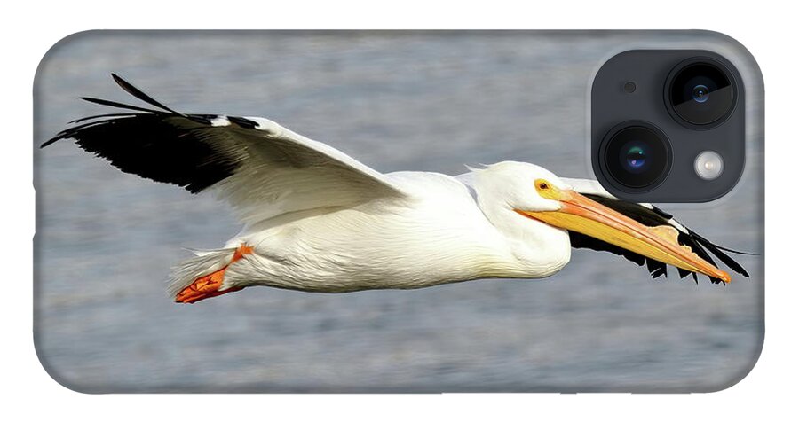 Pelicans iPhone 14 Case featuring the photograph Cruising Along by Lens Art Photography By Larry Trager