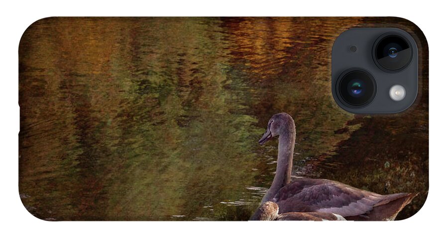 Cygnets iPhone 14 Case featuring the photograph Cygnets beside the pond by Yvonne Johnstone