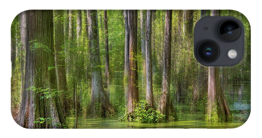Charleston iPhone 14 Case featuring the photograph Cypress Gardens Abstract by James Woody