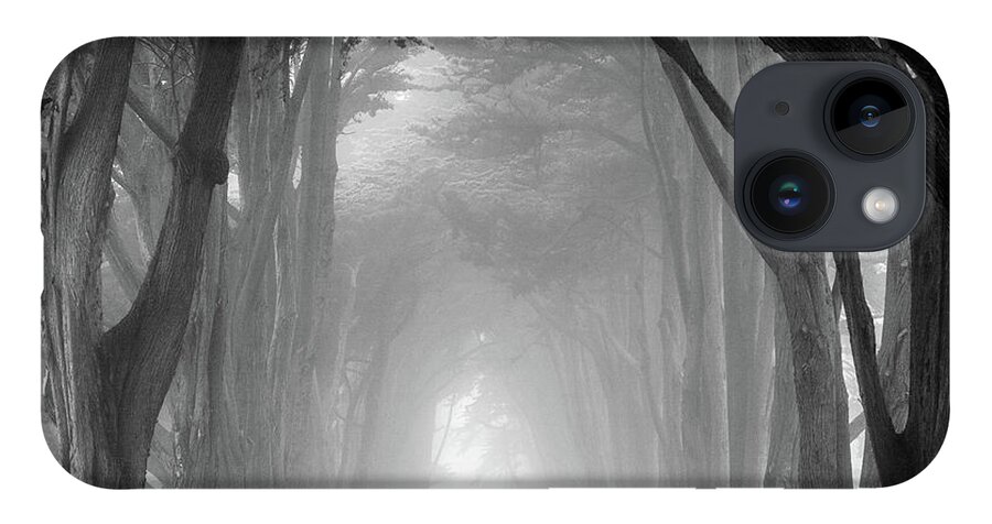 Cypress Tree Tunnel iPhone 14 Case featuring the photograph Cypress tree tunnel, Point Reyes by Donald Kinney