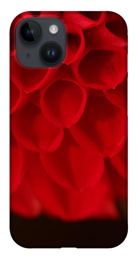 Flower iPhone 14 Case featuring the photograph Dahlia 4384 by Julie Powell